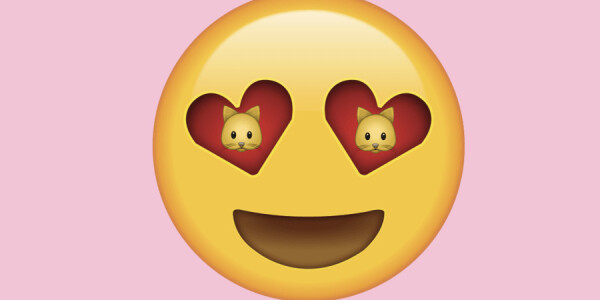 Get more cats on your Instagram feed by cheating the algorithm