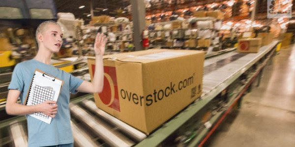 Overstock’s blockchain mad CEO resigns after disclosing romantic relationship with suspected Russian spy