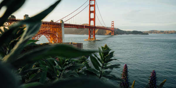 A San Francisco startup guide for international entrepreneurs