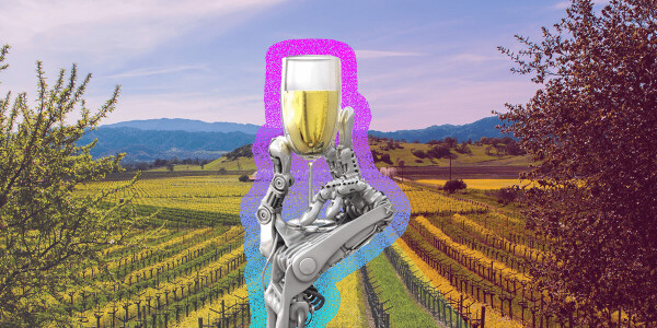 What winemaking has taught me about artificial intelligence