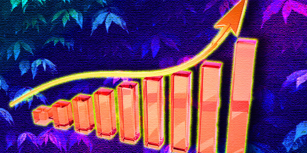 Founders: Here’s how to pick the right VC in this ‘high deal’ market