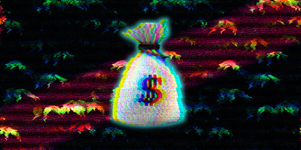 To raise funds, or not to raise funds? That is the question