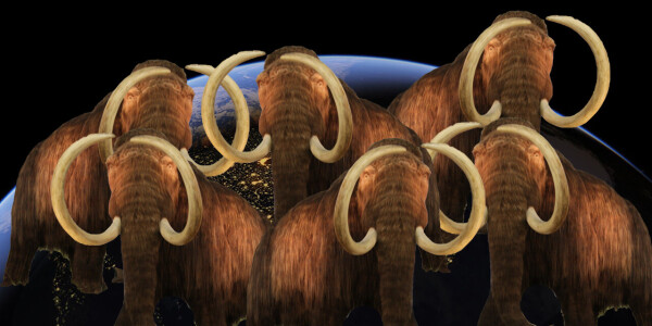 Scientists want to cure elephant herpes so woolly mammoths can stop climate change