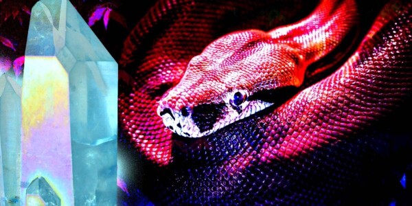 If Python is too slow for you, Crystal could be your savior