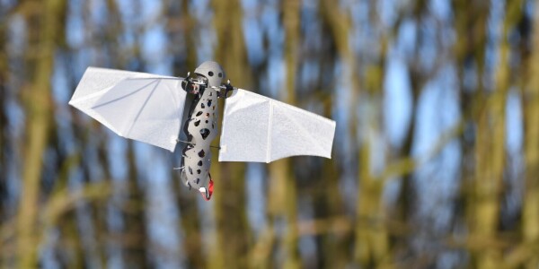 Are bioinspired drones the next big thing in unmanned flight?
