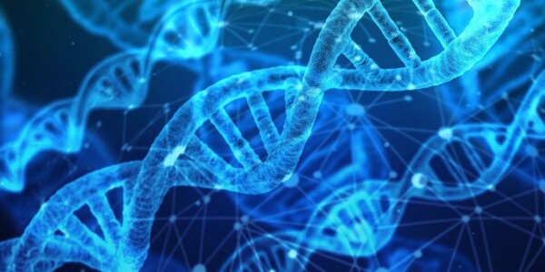 AI trained on ape DNA predicts genetic disease risks for humans