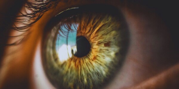 AI-analysed 3D eye scans can detect signs of Parkinson’s, study finds