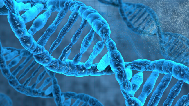 Ancestry creates you a custom Spotify playlist for $99 and some spit