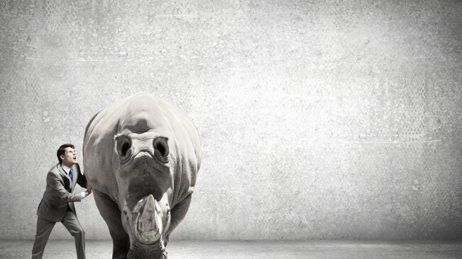 Watch: A rhino’s eye view of the fight against poaching