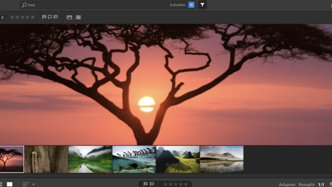 Adobe accidentally leaked its upcoming photo editing app for novices
