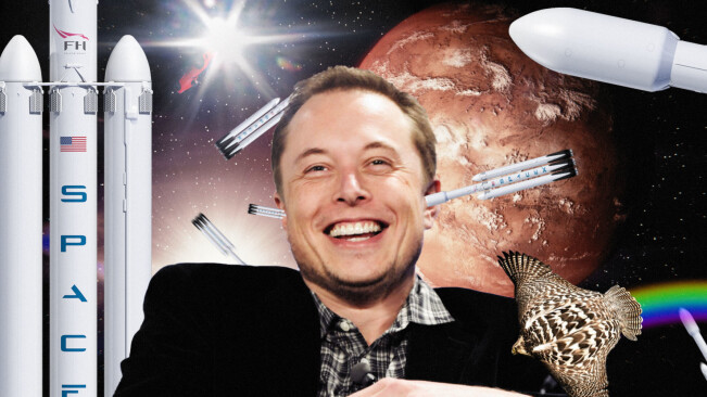 Tesla stock crashes after Elon Musk tweets: ‘Tesla stock too high imo’