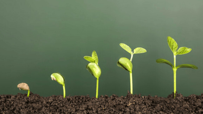 7 tactics you can implement right now to grow your startup