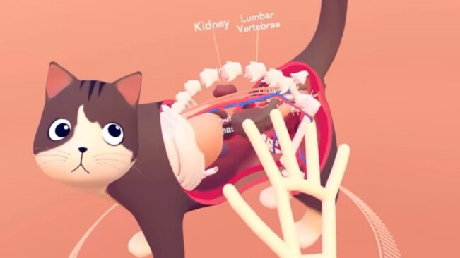 Leap Motion’s VR anatomy lesson lets you pull a cat apart with your hands