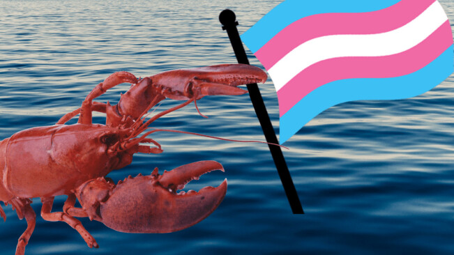 Why the lobster emoji has become an unlikely ally to the trans community