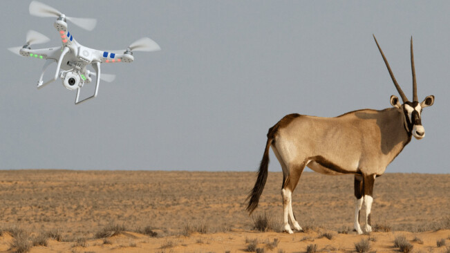Niger will use drones to protect almost extinct antelope species