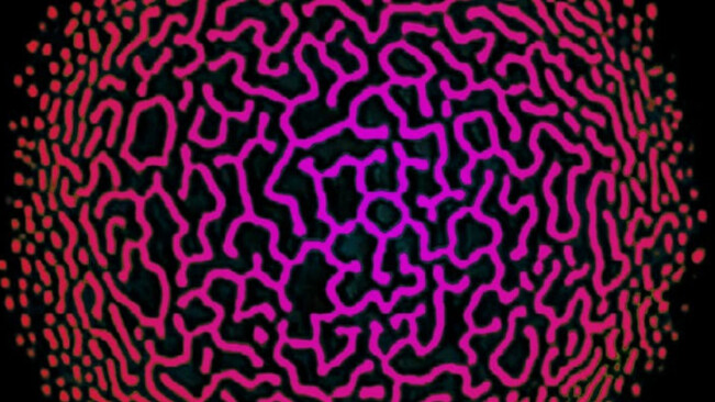 This trippy ’80s video effect might help explain consciousness