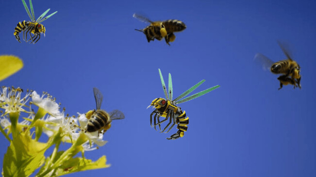 What smart bees can teach us about collective intelligence