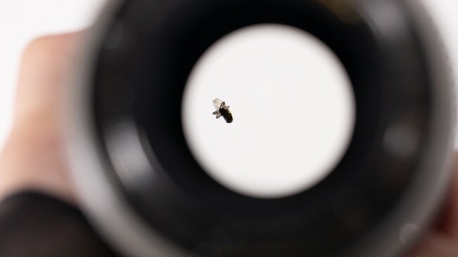 Umm, how did a fly get into this ‘weather-sealed’ camera lens?