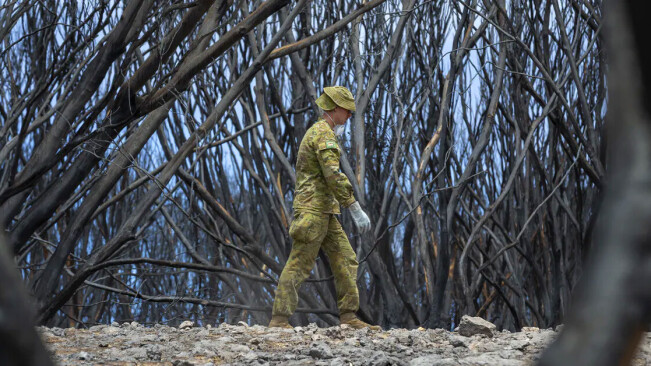 Australian bushfires didn’t just destroy specific species, but entire ecosystems