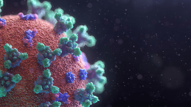 ACE2: The molecule that helps coronavirus invade your cells