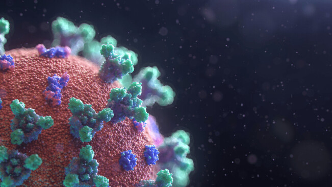Will flu or cold viruses push the new coronavirus out of circulation this winter?