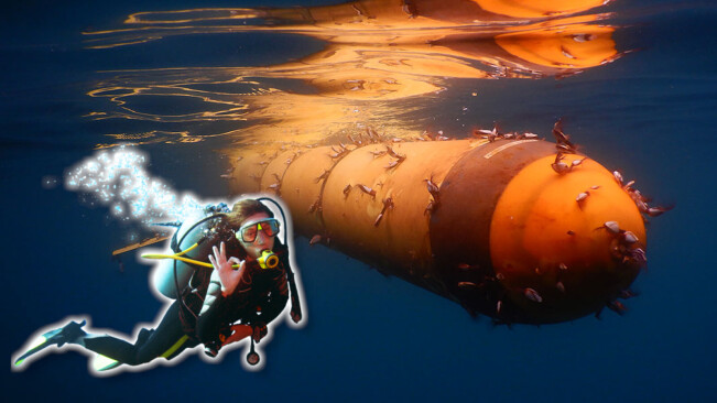 This cute lil’ underwater drone just spent 4 years ~ v i b i n g ~ in the Atlantic
