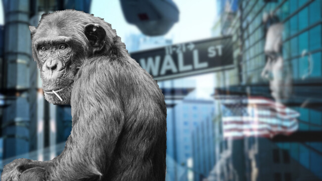 Remembering Raven Thorogood III: The chimp that smoked Wall Street