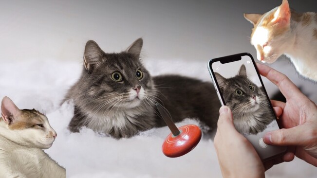 This app lets you ‘cut-and-paste’ real life objects