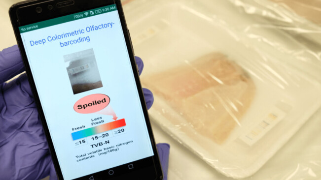 This AI-powered ‘electronic nose’ can sniff out rotten meat