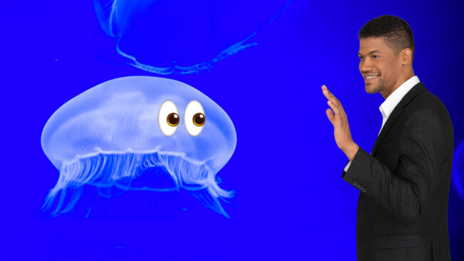 You are more closely related to comb jellies than sponges, new study claims