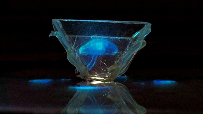 Quantum physics has the answer to making better holograms