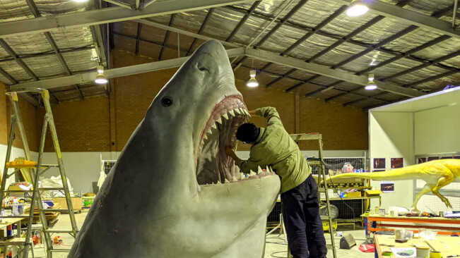 The science behind measuring the biggest shark to ever exist