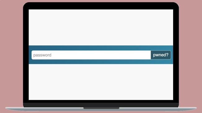 Have I Been Pwned goes open-source and teams up with the FBI on leaked passwords