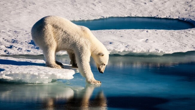 AI tool predicts Arctic sea ice loss caused by climate change