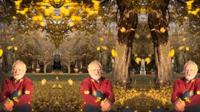 Hide the Pain Harold’s new autumn ‘stock photos’ perfectly capture your dark day blues