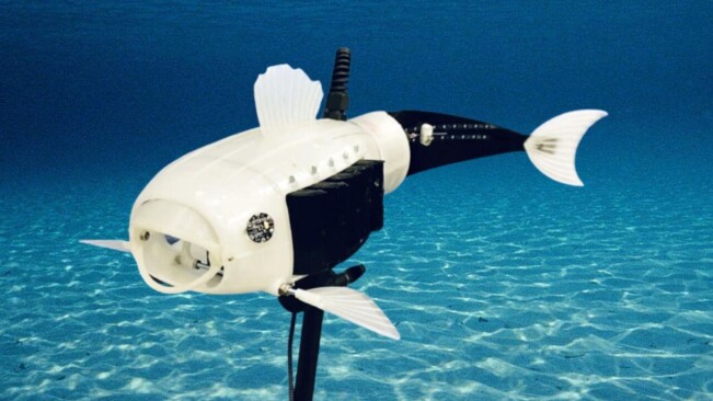 Open-source fish robot starts collecting microplastics from local lakes in the UK