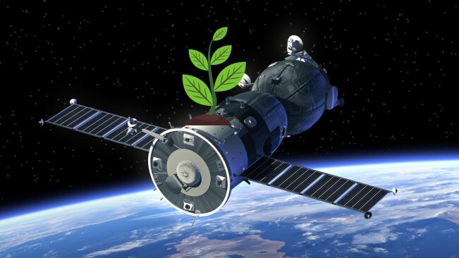 Autonomous vertical farming startup to grow crops in space in 2026