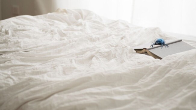 Helsinki startup raises €4M for smart bed legs to outsmart bed bugs