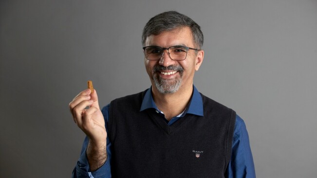 ‘Purest meat alternative’ to grow in Swedish mycoprotein factory