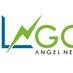 Lagos Angel Network