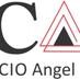 CIO Angel Network