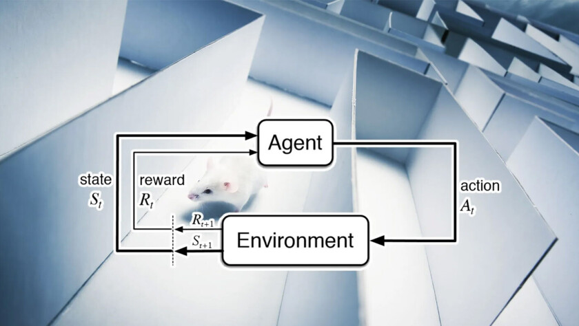 Everything you need to know about model-free and model-based reinforcement learning