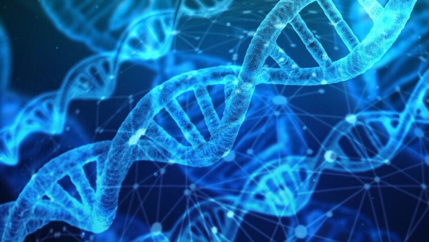 AI trained on ape DNA predicts genetic disease risks for humans