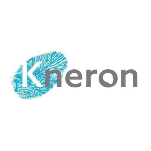Kneron startup company logo