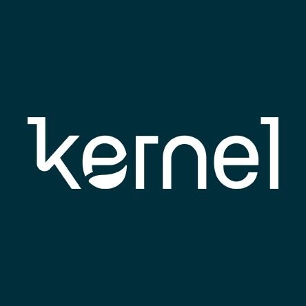 Kernel startup company logo