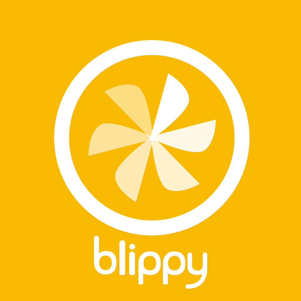 Blippy Social Commerce