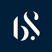 BlueStone.com startup company logo