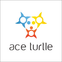 Ace Turtle