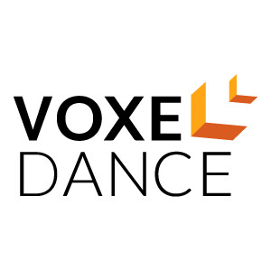 VoxelDance