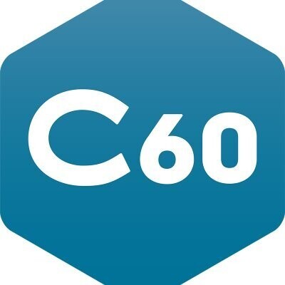 Carbon60 Networks